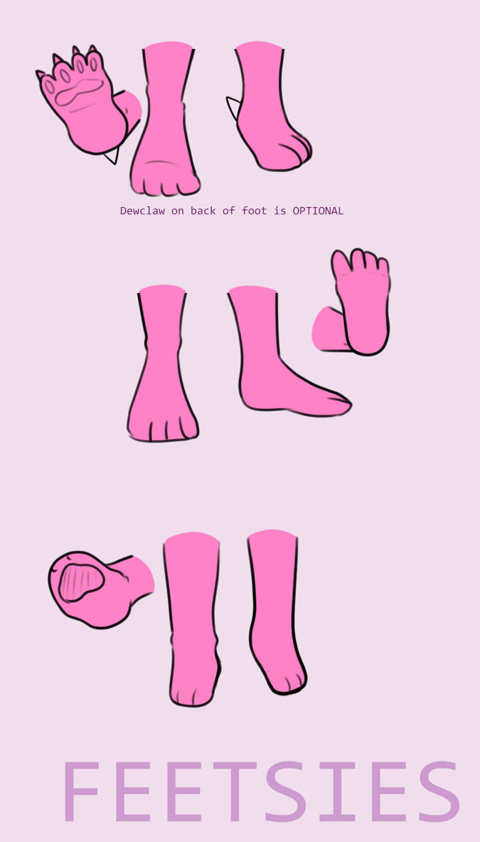 Feet guide